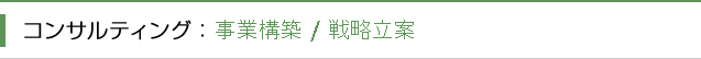 コンサルティング分野:事業構築 / 戦略立案